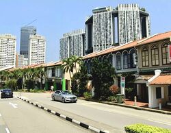 Tanjong Pagar Conservation Area (D2), Shop House #559413121